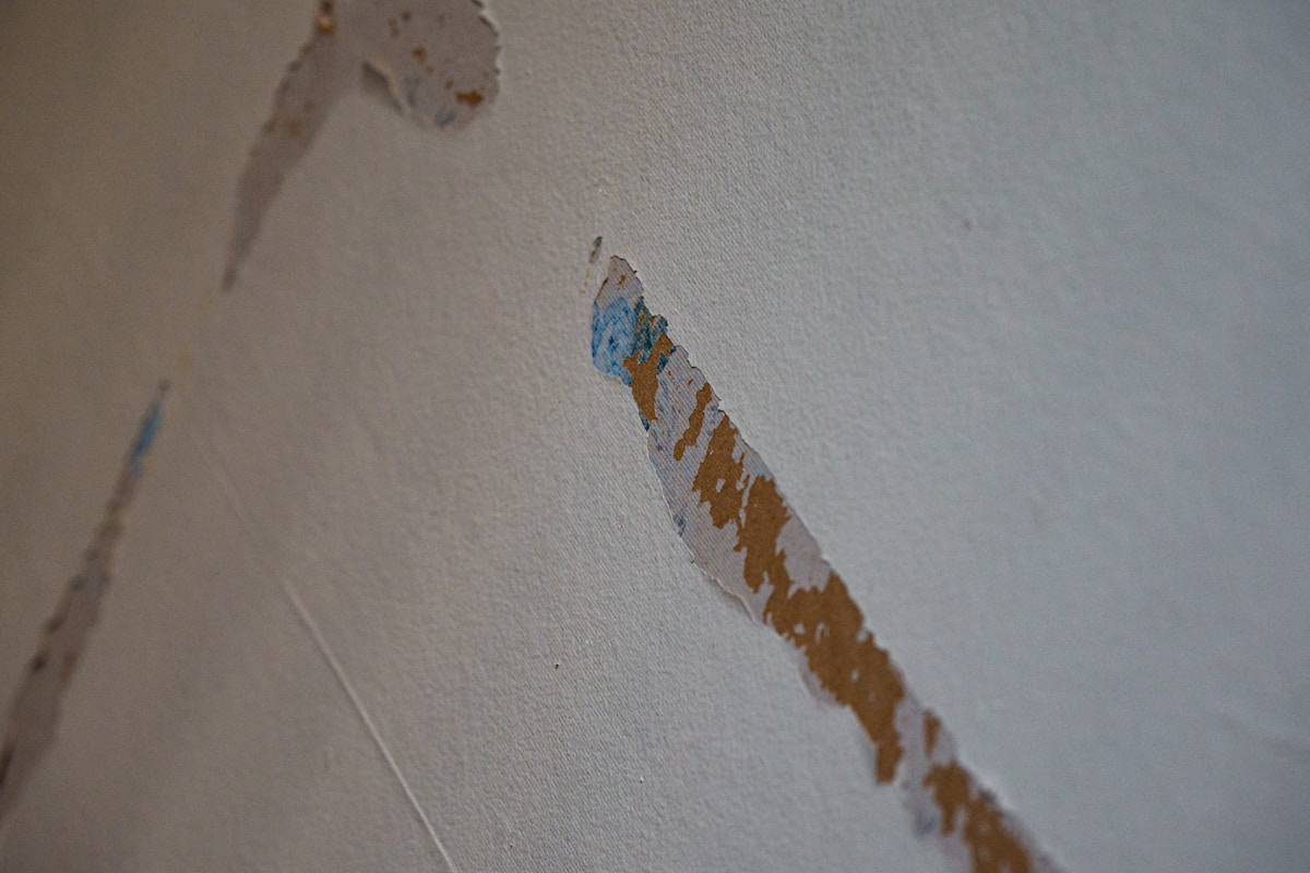 Basement Water Removal service in Amarillo, TX